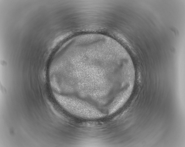 X0000090720636200708101554