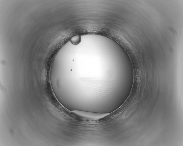 X0000090720639200708101554