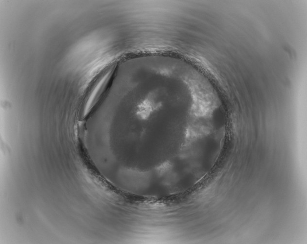 X0000090720640200708101554