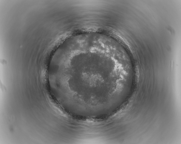 X0000090720641200708101554