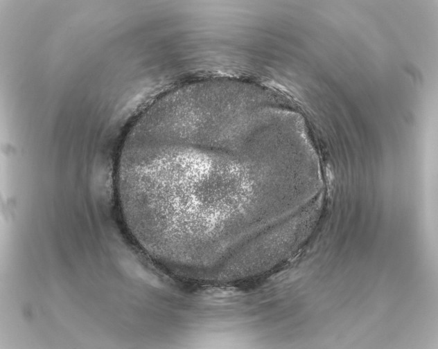 X0000090720642200708101554