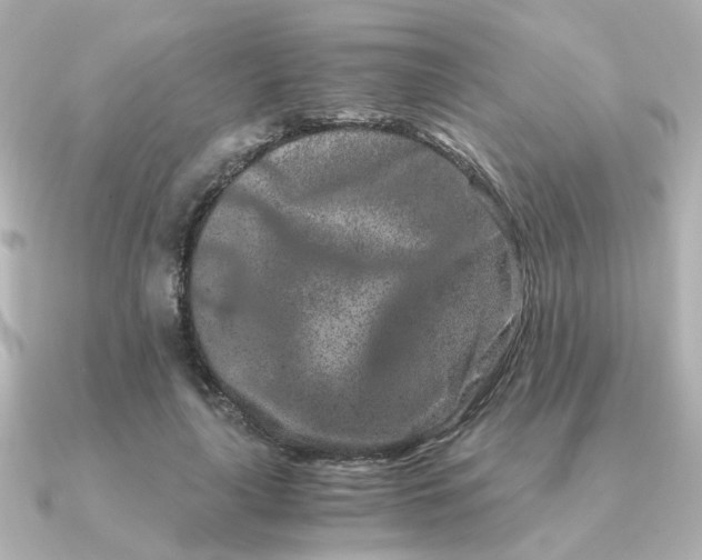 X0000090720643200708101554