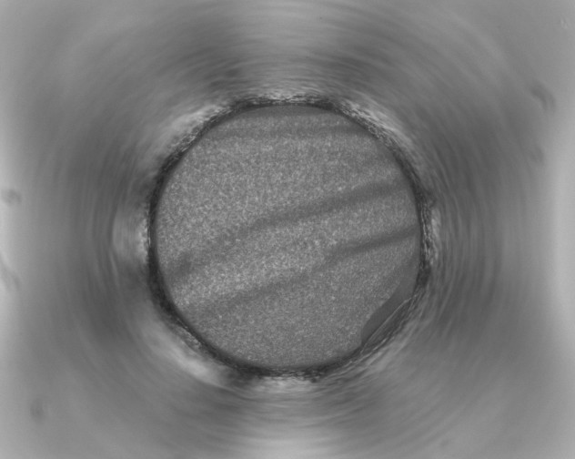 X0000090720644200708101554