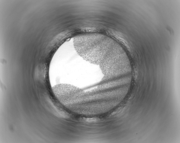 X0000090720645200708101554