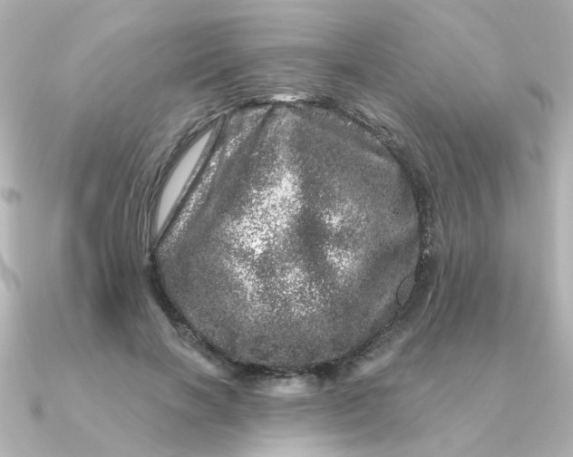 X0000090720646200708101554