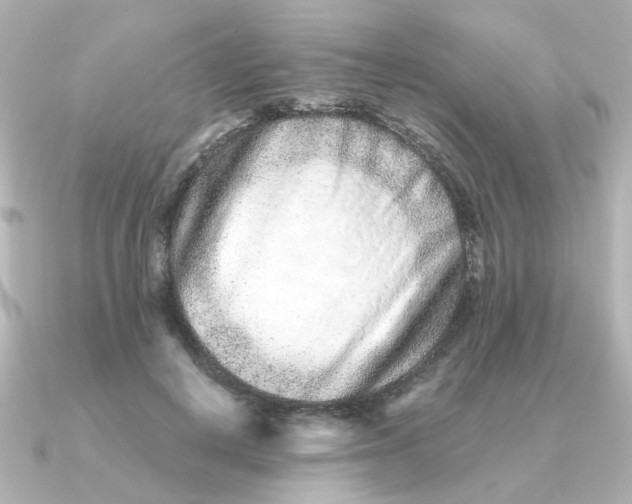 X0000090720648200708101554