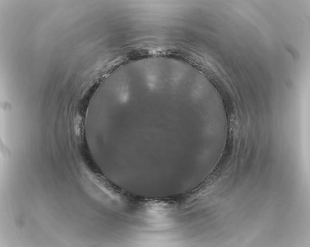 X0000090720650200708101554