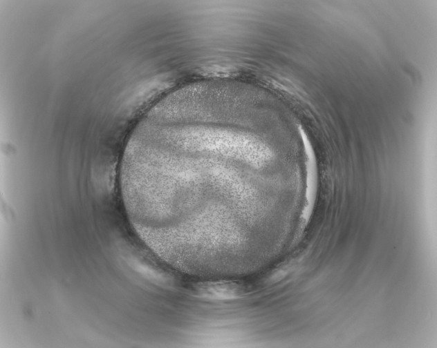 X0000090720652200708101554