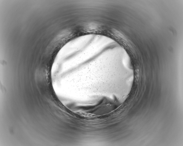 X0000090720653200708101554