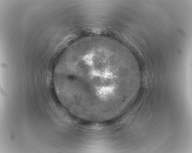 X0000090720656200708101554