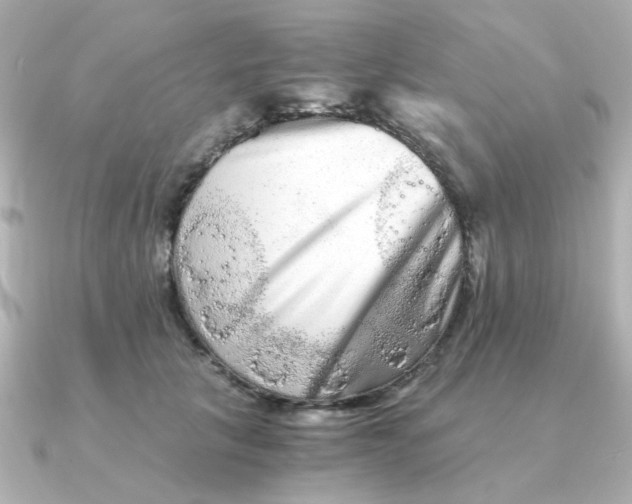 X0000090720657200708101554