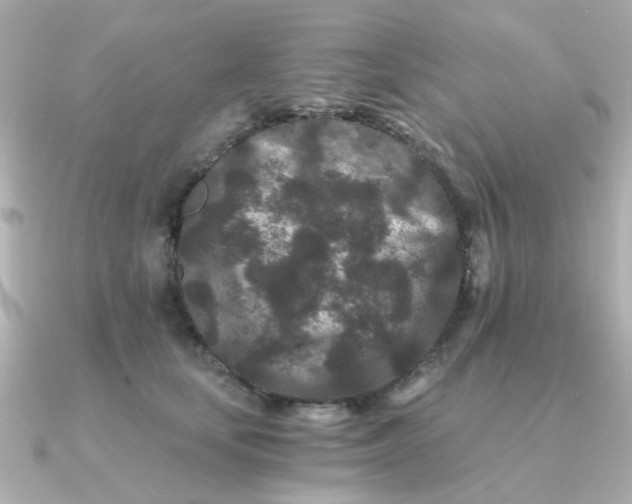 X0000090720659200708101554