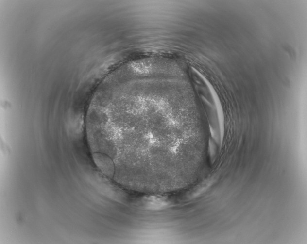 X0000090720660200708101554