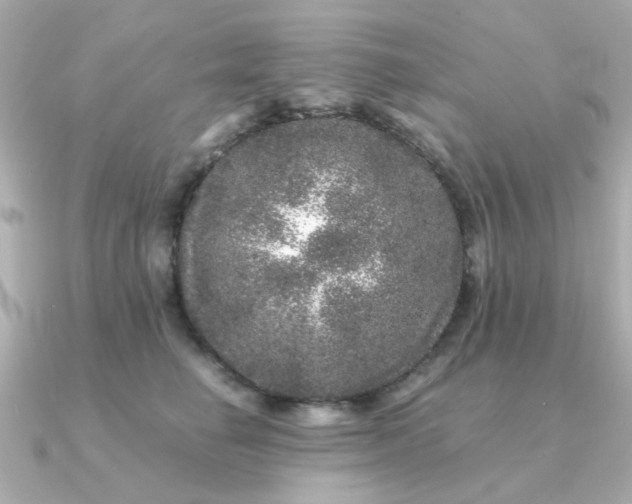 X0000090720662200708101554