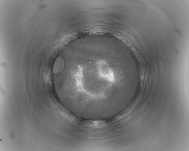 X0000090720663200708101554