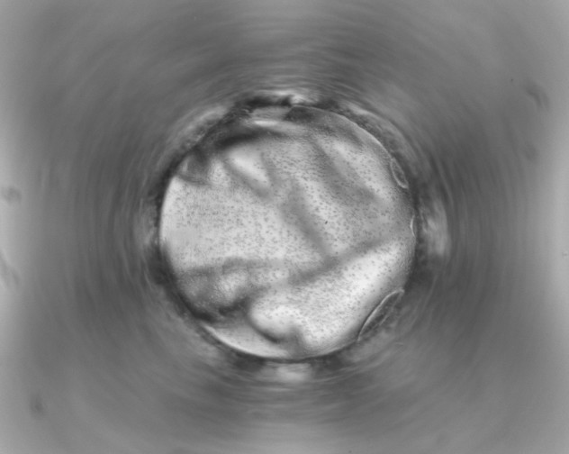 X0000090720665200708101554