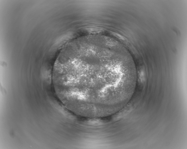 X0000090720666200708101554