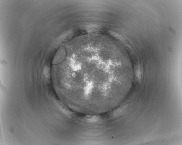 X0000090720667200708101554