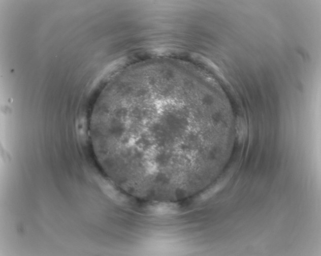 X0000090720670200708101554