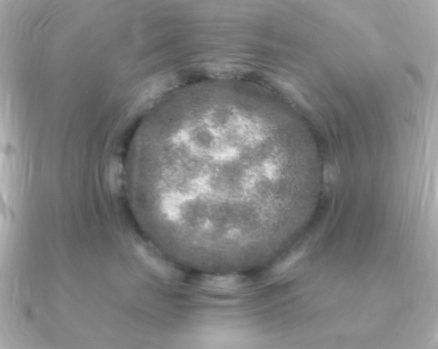 X0000090720671200708101554