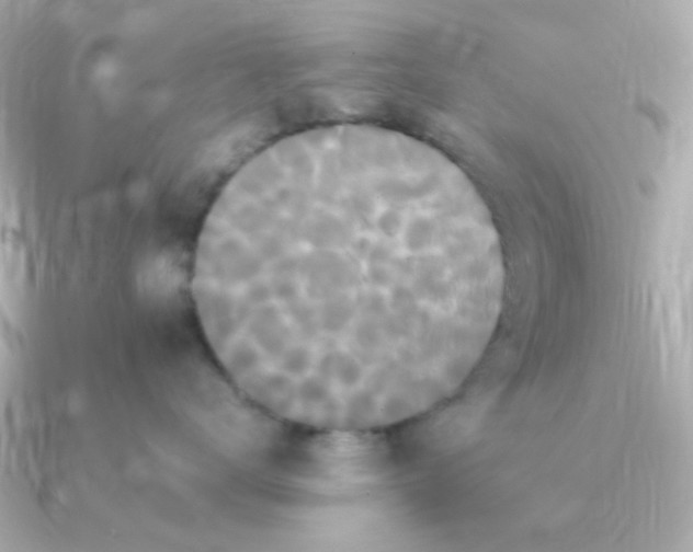 X0000090720672200708101554