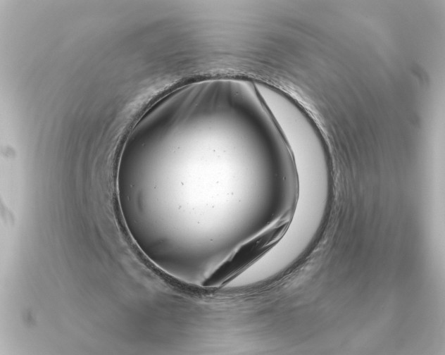 X0000090720673200708101554