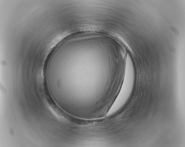 X0000090720674200708101554