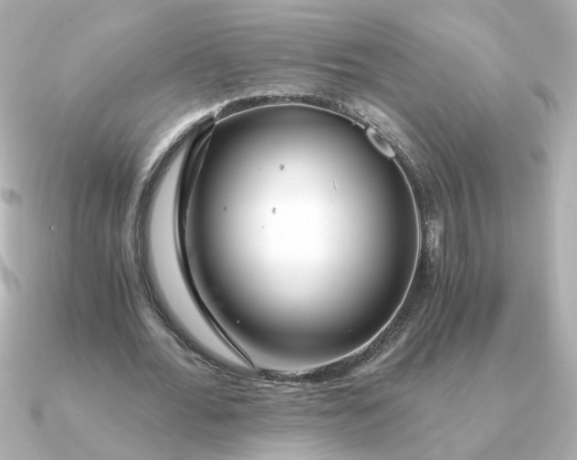 X0000090720676200708101554