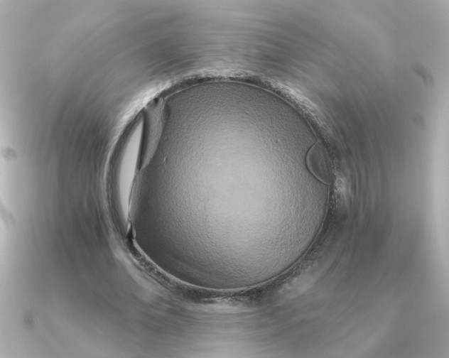 X0000090720678200708101554