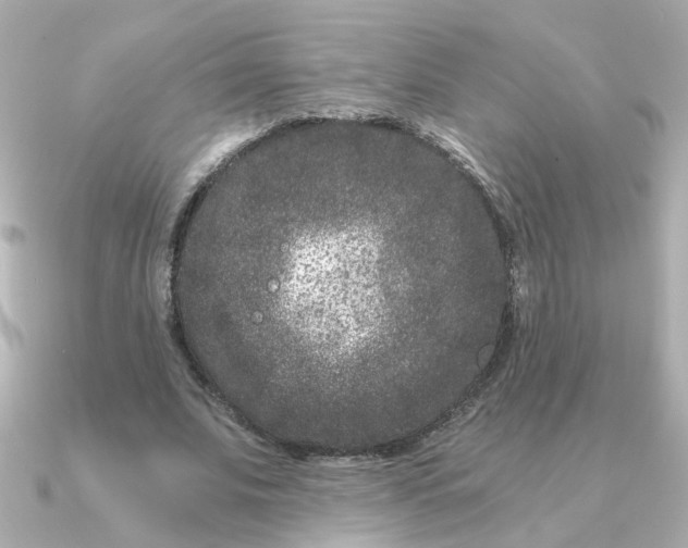 X0000090720679200708101554