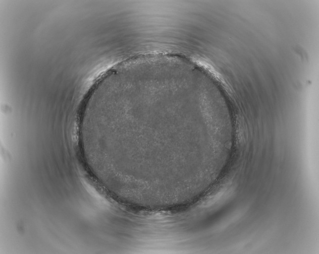 X0000090720683200708101554