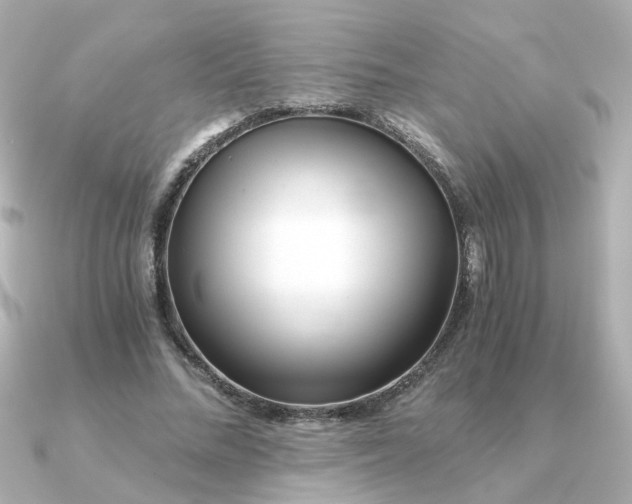 X0000090720684200708101554