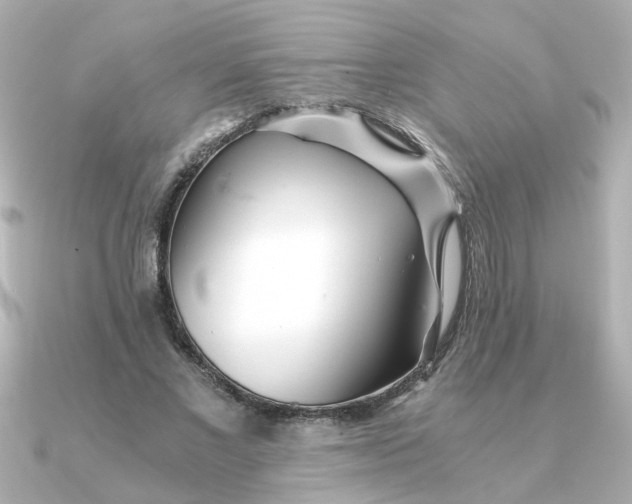 X0000090720685200708101553