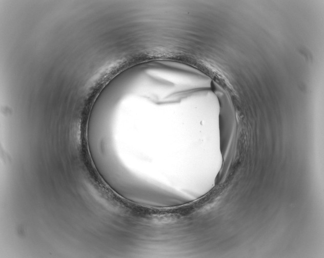 X0000090720686200708101553