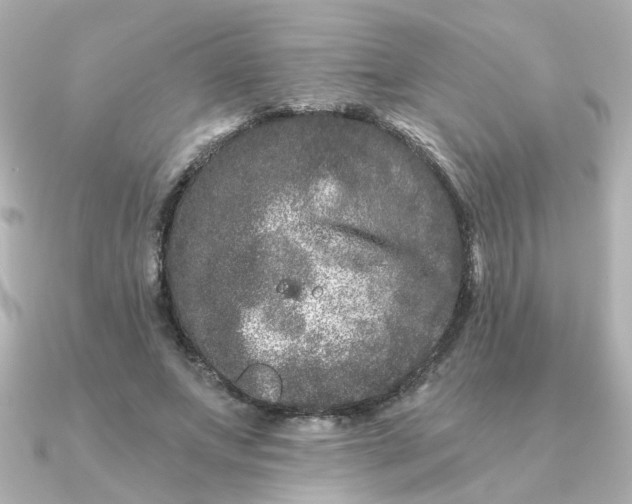 X0000090720687200708101553