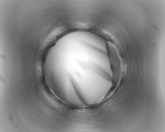 X0000090720688200708101553