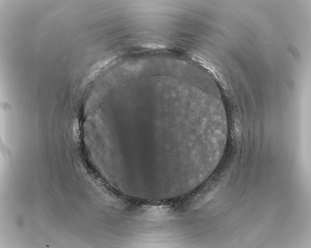 X0000090720689200708101553