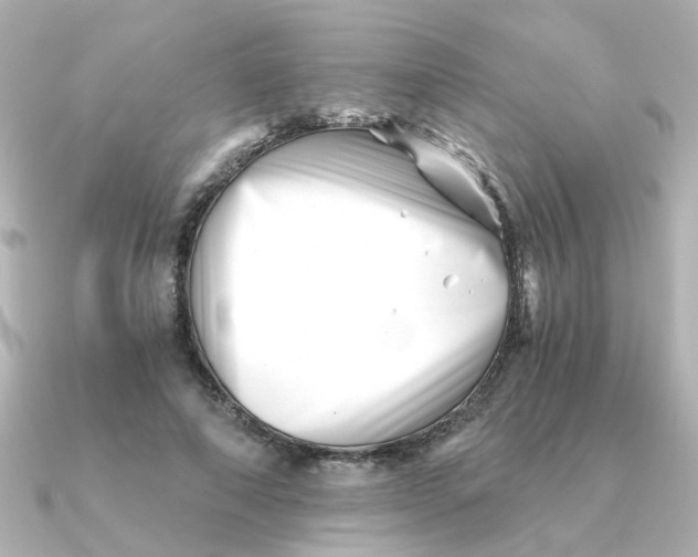 X0000090720690200708101553