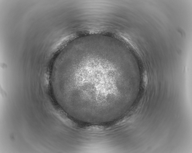 X0000090720691200708101553