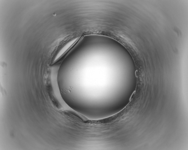 X0000090720693200708101553