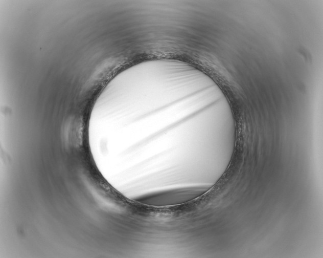 X0000090720694200708101553