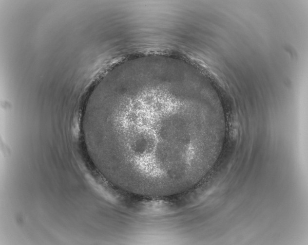 X0000090720695200708101553