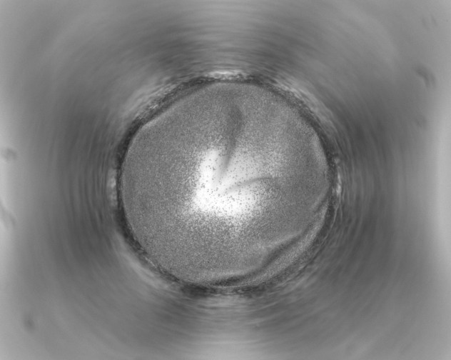 X0000090720696200708101553