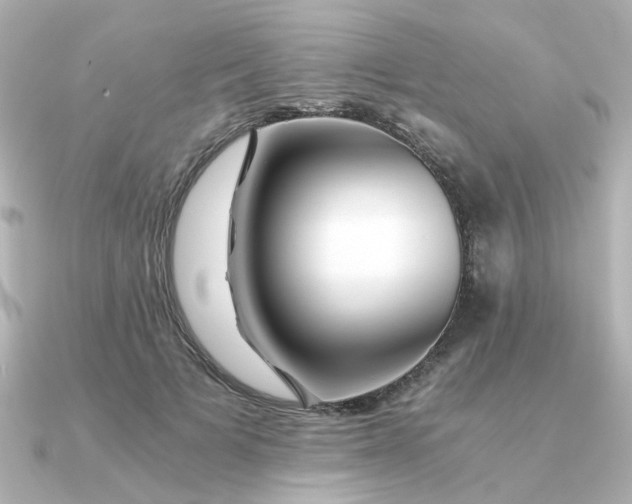 X0000090720697200708101553