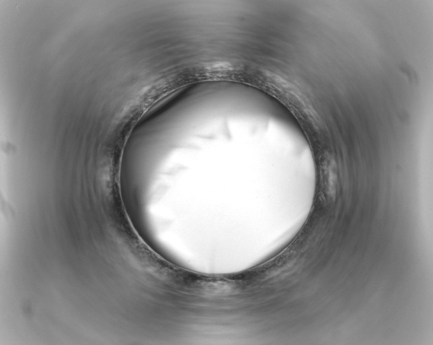 X0000090720698200708101553