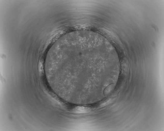 X0000090720699200708101553