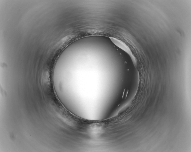 X0000090720700200708101553