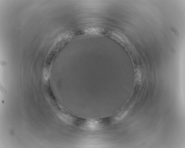 X0000090720701200708101553