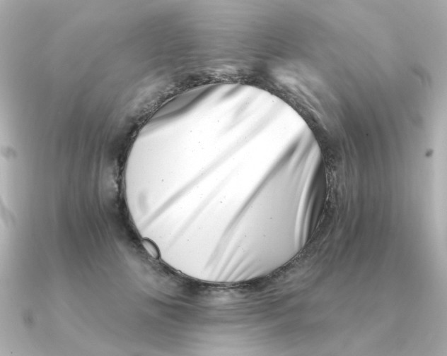 X0000090720702200708101553