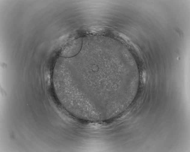 X0000090720703200708101553